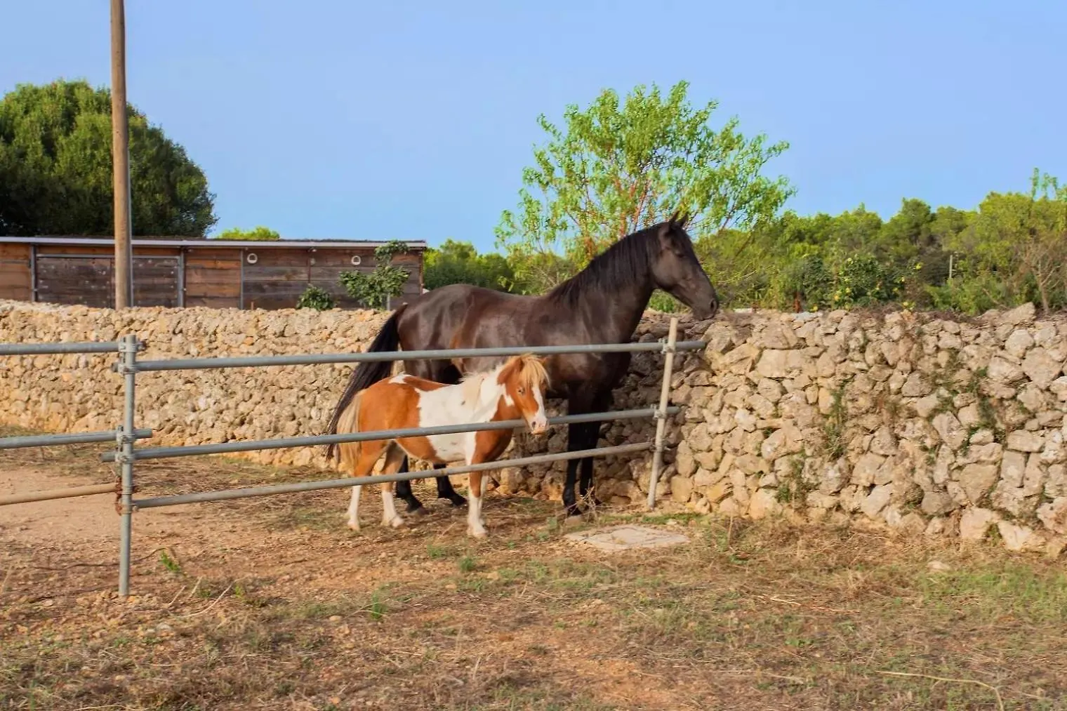 Farm stay Menorca Agroturismo Llimpet Alaior