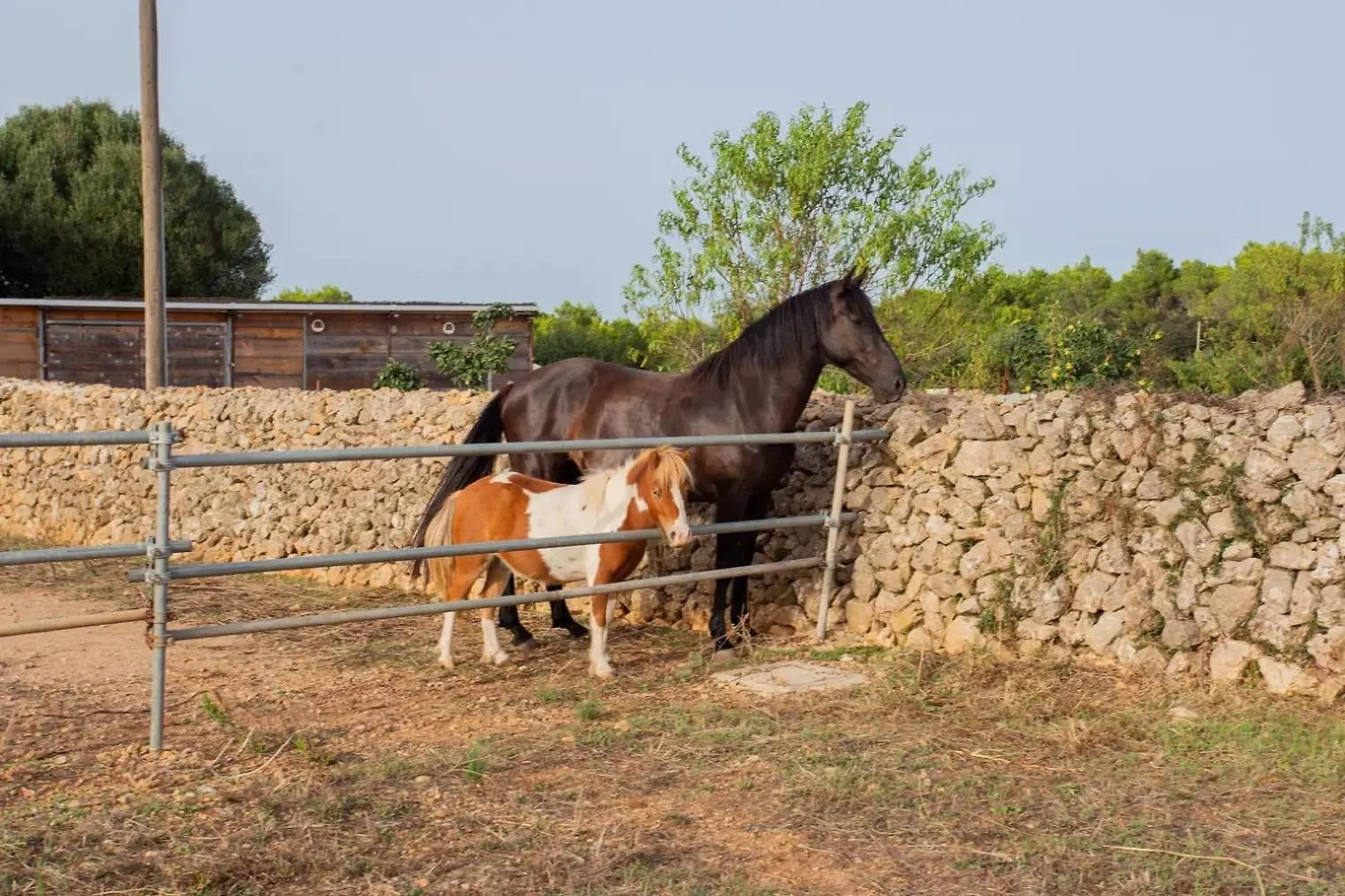 Menorca Agroturismo Llimpet Alaior Hiszpania